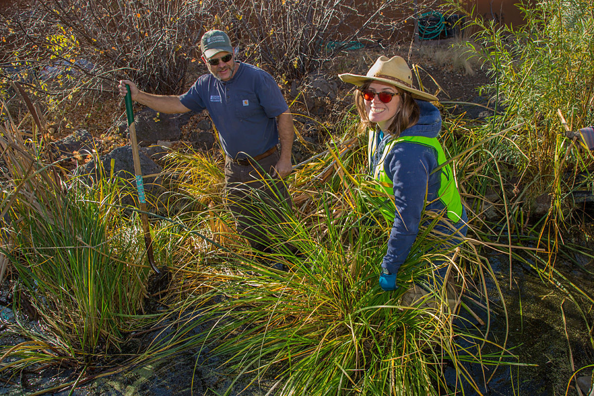 Removing vegetation from pond
